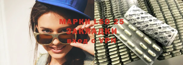 мдпв Вяземский
