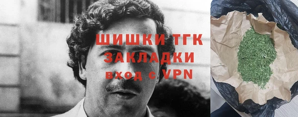 мдпв Вяземский