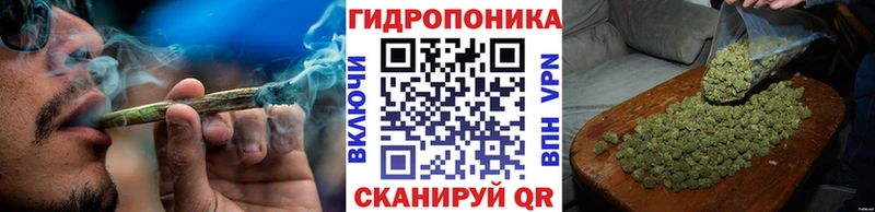Марихуана семена  hydra рабочий сайт  Великий Устюг 